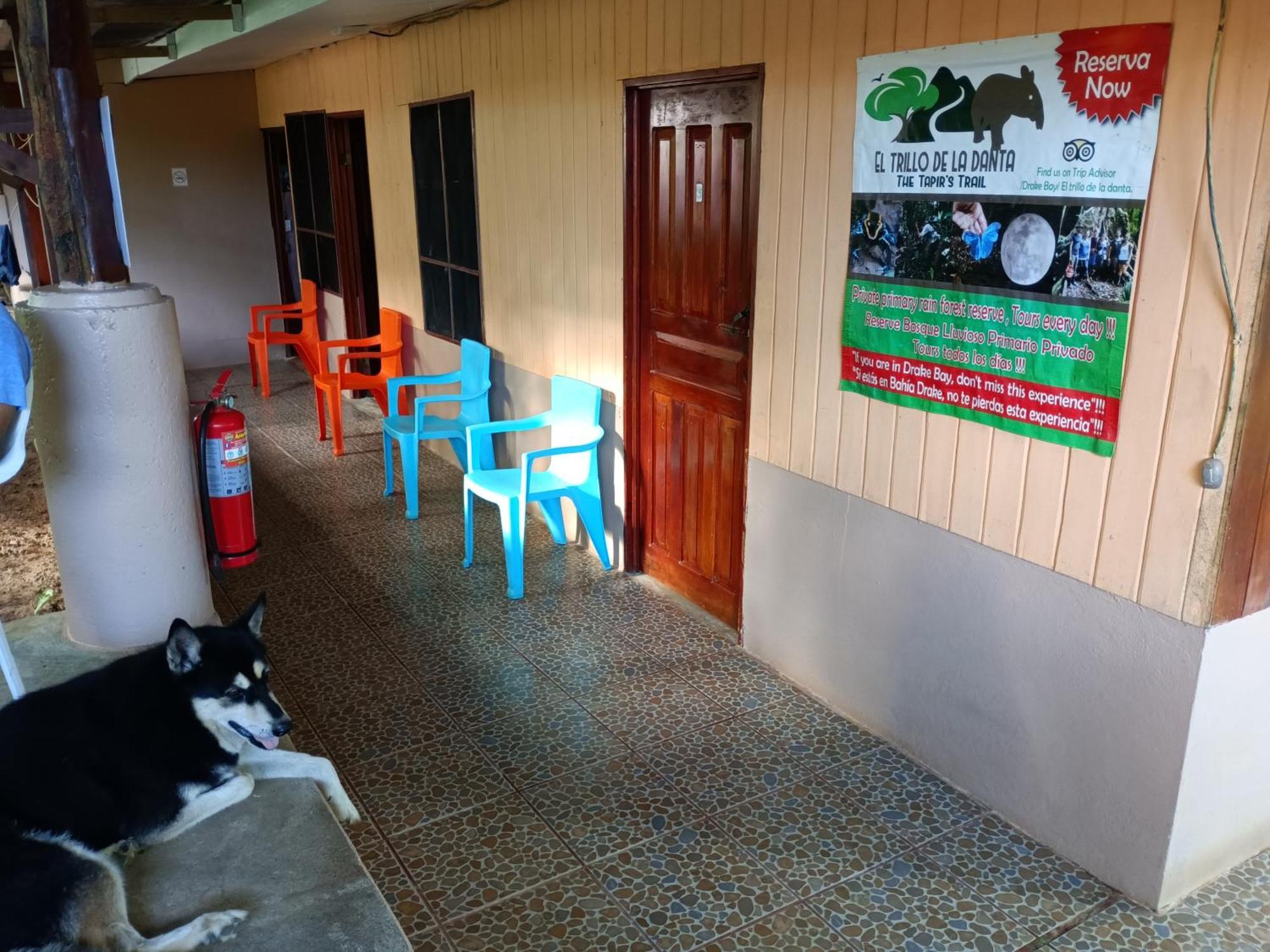 Martinas Place Drake Bay Luaran gambar